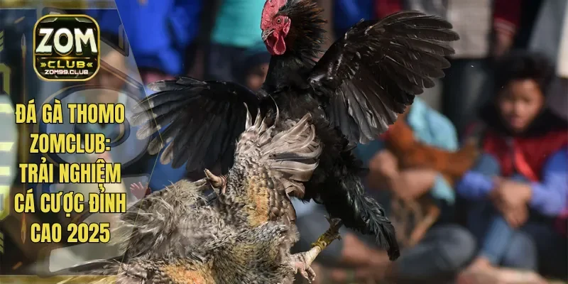 Đá Gà Thomo