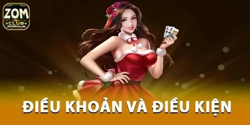 Tổng quan một số thông tin hữu ích về điều khoản và điều kiện